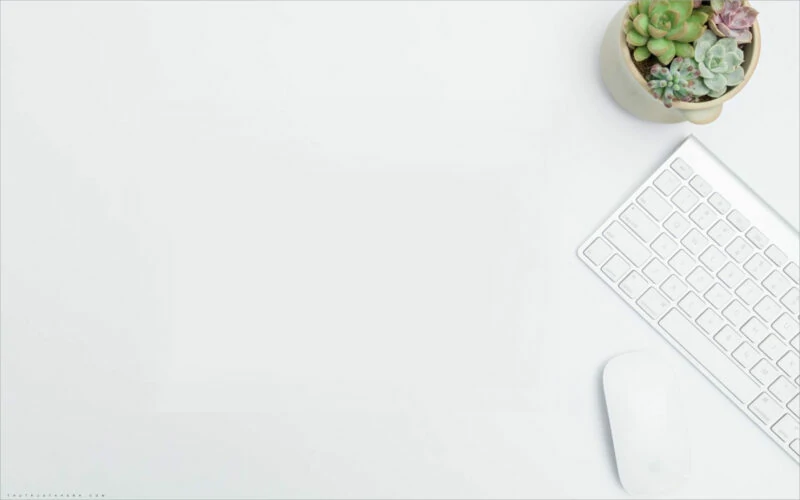 Công ty TNHH Bravo Media Việt Nam